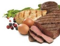 Proteins: harm and benefit: Is protein good for you?
