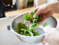 How to prepare spinach for the winter